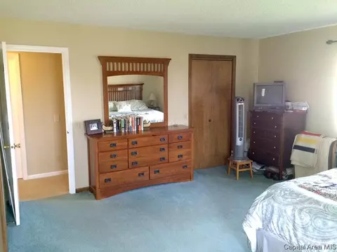 45 Frontier Lake Dr, Springfield, IL 62707 photo 28