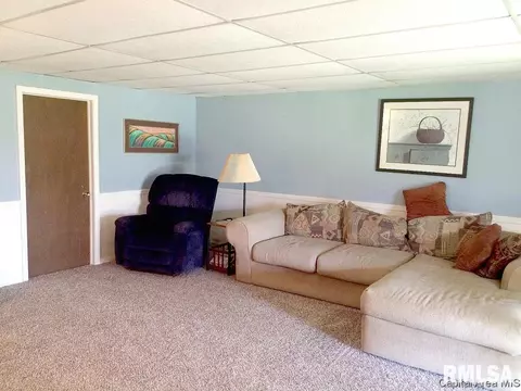 45 Frontier Lake Dr, Springfield, IL 62707 photo 32