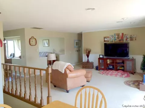 45 Frontier Lake Dr, Springfield, IL 62707 photo 18