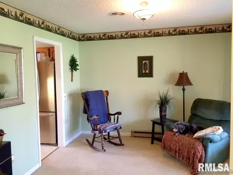 45 Frontier Lake Dr, Springfield, IL 62707 photo 20