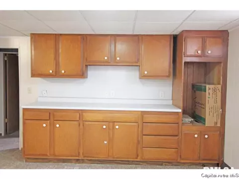 1840 N Wolfe St, Springfield, IL 62702 photo 19