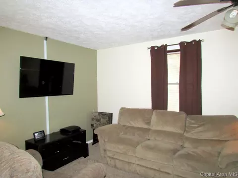 1001 Ohio, Springfield, IL 62702 photo 4