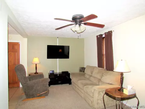 1001 Ohio, Springfield, IL 62702 photo 3