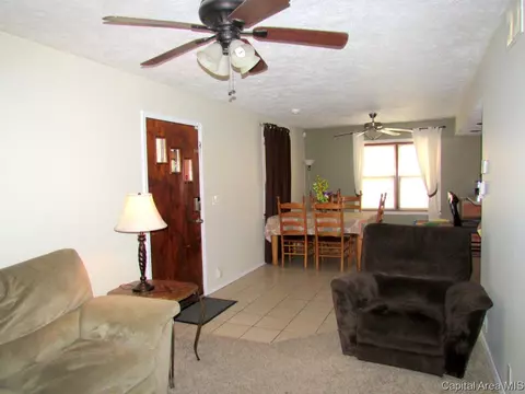 1001 Ohio, Springfield, IL 62702 photo 5