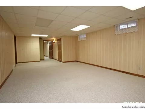 3927 Mill Stone, Springfield, IL 62711 photo 24