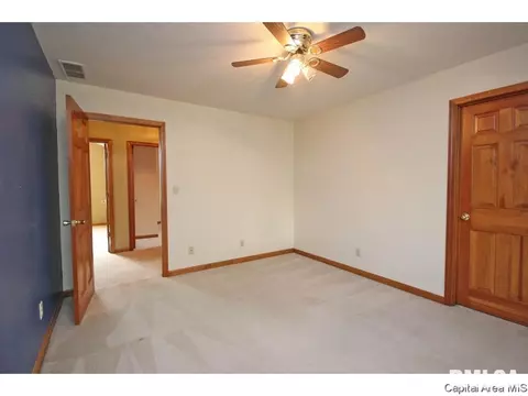 3927 Mill Stone, Springfield, IL 62711 photo 20