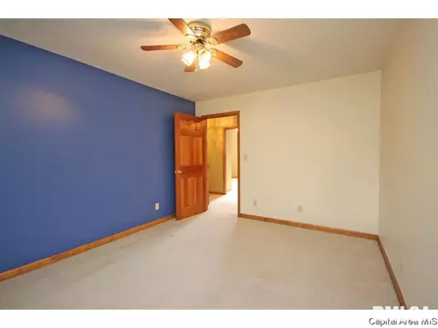 3927 Mill Stone, Springfield, IL 62711 photo 19