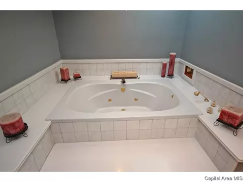 71 Linden Ln, Springfield, IL 62712 photo 17