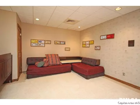71 Linden Ln, Springfield, IL 62712 photo 28