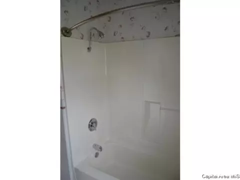 1828 E Black Ave, Springfield, IL 62702 photo 11