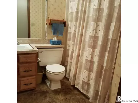 2457 Idlewild, Springfield, IL 62704 photo 21