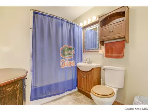 1714 Wolfe, Springfield, IL 62702 photo 19
