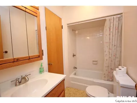 1103 N Walnut St, Springfield, IL 62702 photo 17