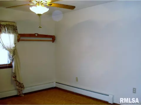 132 N Johnson Street St, Oneida, IL 61467 photo 18