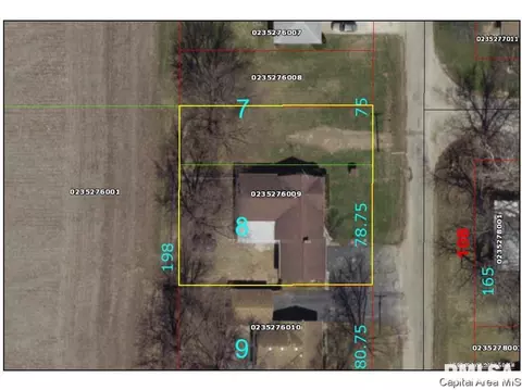 132 N Johnson Street St, Oneida, IL 61467 photo 23