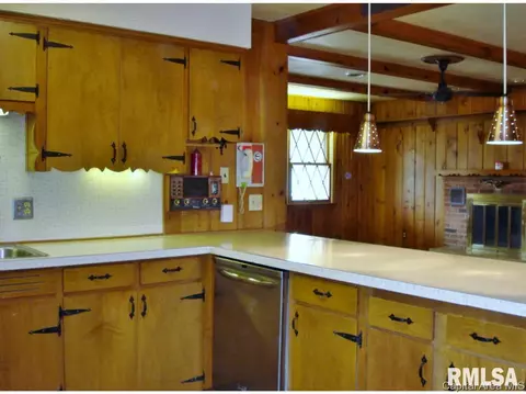 132 N Johnson Street St, Oneida, IL 61467 photo 12