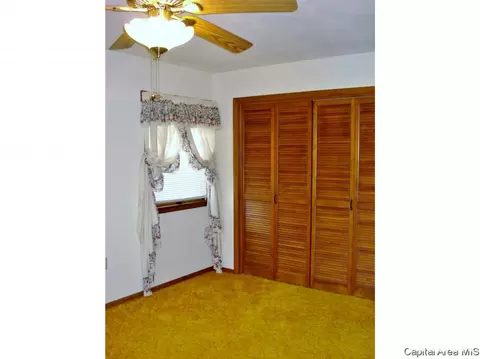 132 N Johnson Street St, Oneida, IL 61467 photo 19