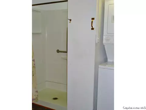 132 N Johnson Street St, Oneida, IL 61467 photo 15