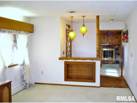 132 N Johnson Street St, Oneida, IL 61467 photo 6