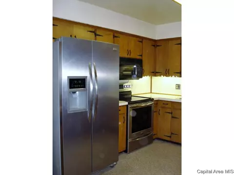 132 N Johnson Street St, Oneida, IL 61467 photo 11