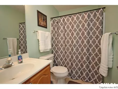 901 Diane Ct, Springfield, IL 62702 photo 16
