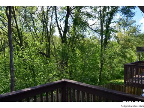 901 Diane Ct, Springfield, IL 62702 photo 29