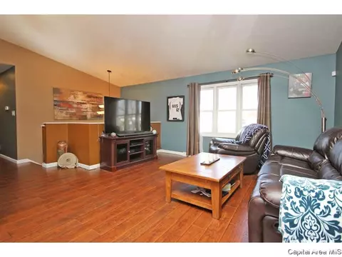 901 Diane Ct, Springfield, IL 62702 photo 4