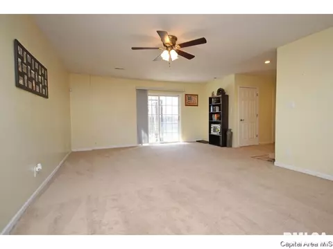 901 Diane Ct, Springfield, IL 62702 photo 23