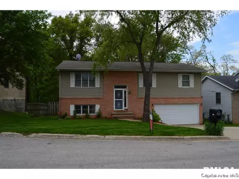 901 Diane Ct, Springfield, IL 62702 photo 3