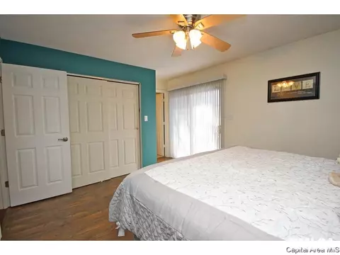901 Diane Ct, Springfield, IL 62702 photo 14