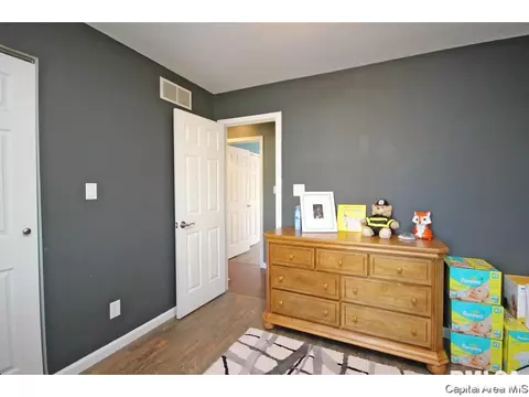 901 Diane Ct, Springfield, IL 62702 photo 19