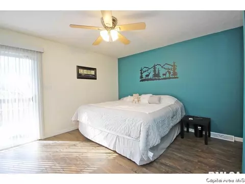 901 Diane Ct, Springfield, IL 62702 photo 15