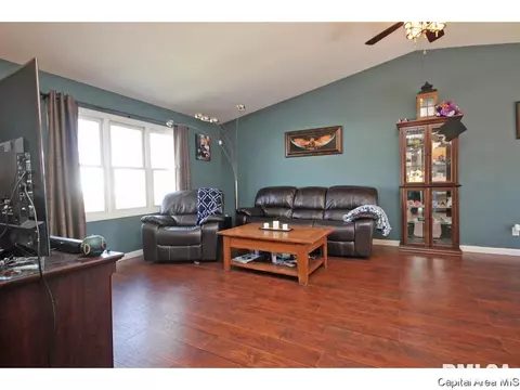 901 Diane Ct, Springfield, IL 62702 photo 7