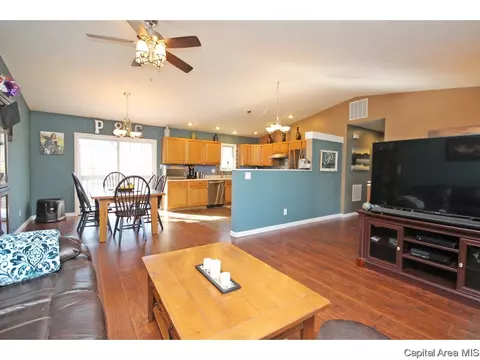 901 Diane Ct, Springfield, IL 62702 photo 6