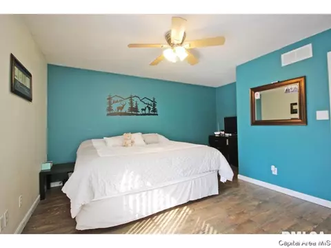 901 Diane Ct, Springfield, IL 62702 photo 13
