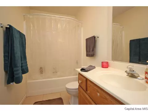 901 Diane Ct, Springfield, IL 62702 photo 17