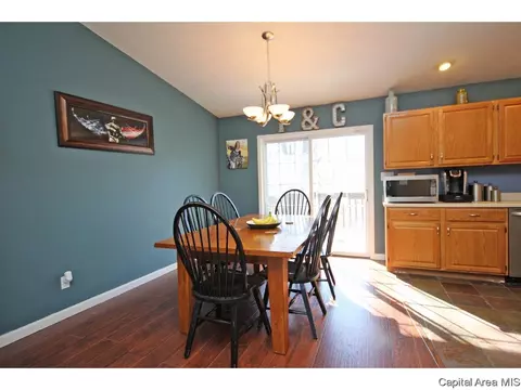 901 Diane Ct, Springfield, IL 62702 photo 10