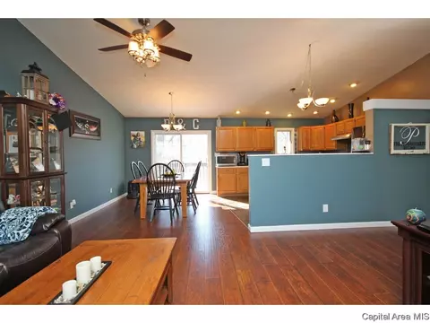 901 Diane Ct, Springfield, IL 62702 photo 8