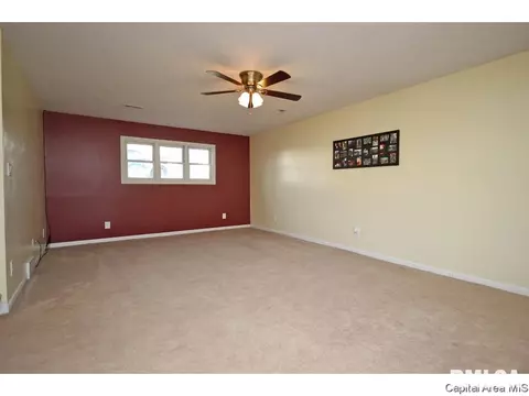 901 Diane Ct, Springfield, IL 62702 photo 22