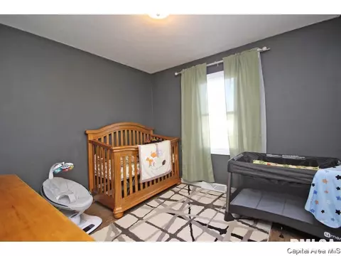 901 Diane Ct, Springfield, IL 62702 photo 20