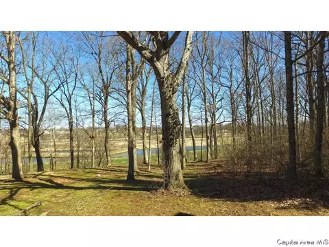 840 Coventry Pt, Springfield, IL 62702 photo 32