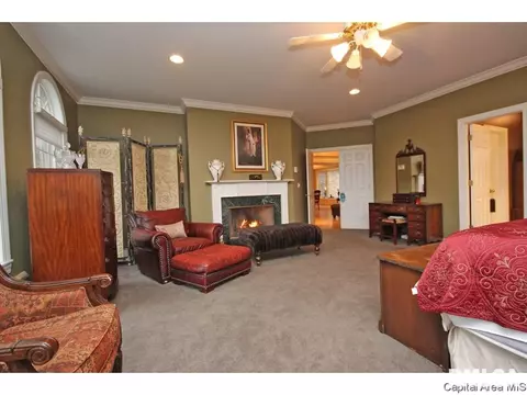 4320 Turtle Bay, Springfield, IL 62711 photo 13