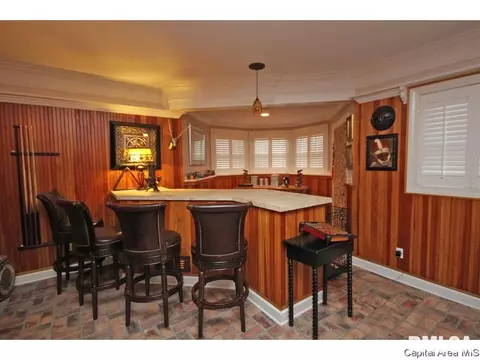 4320 Turtle Bay, Springfield, IL 62711 photo 23
