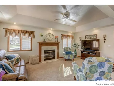 4081 Mill Stone, Springfield, IL 62711 photo 23