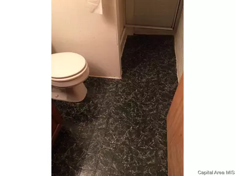 1116 N 19th, Springfield, IL 62702 photo 20