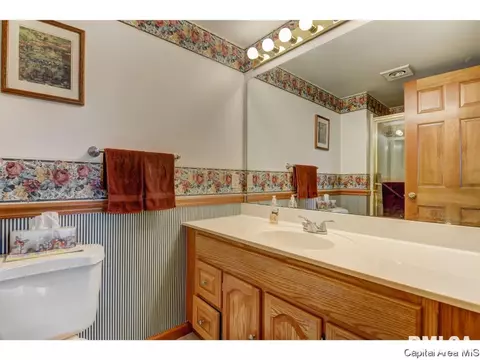 513 Colbrook, Springfield, IL 62702 photo 30