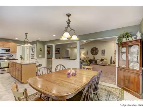 1416 Summershade Dr, Springfield, IL 62712 photo 10