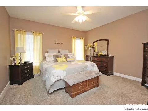 4890 Leah, Springfield, IL 62711 photo 16