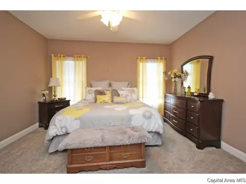 4890 Leah, Springfield, IL 62711 photo 14