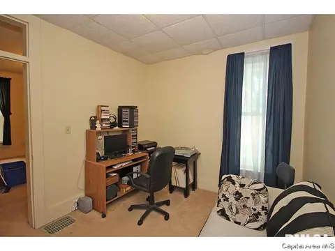 1315 N 4th, Springfield, IL 62702 photo 22